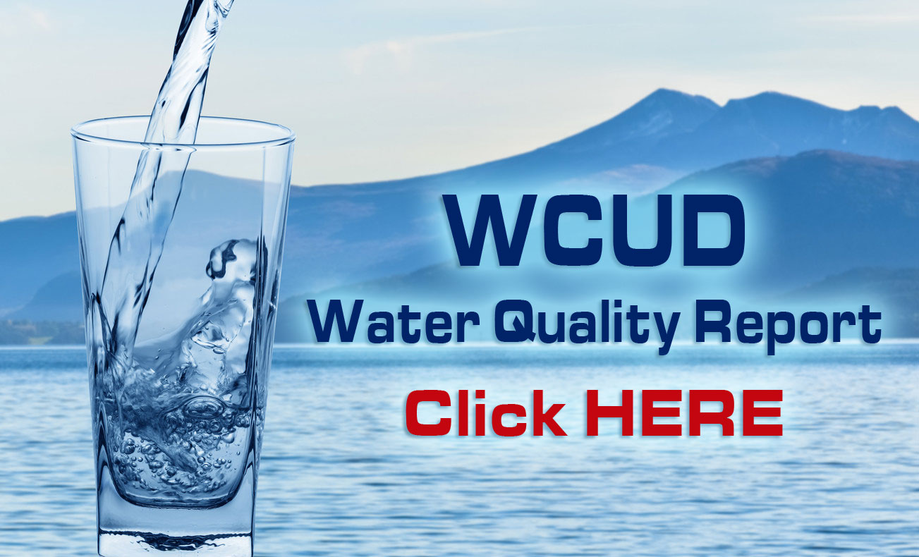 water quality report